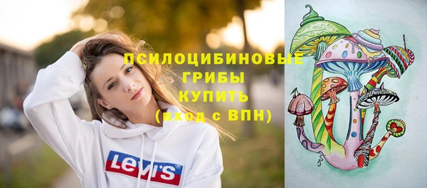 метадон Магас