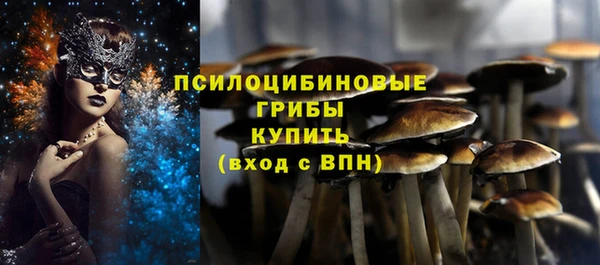 метадон Магас