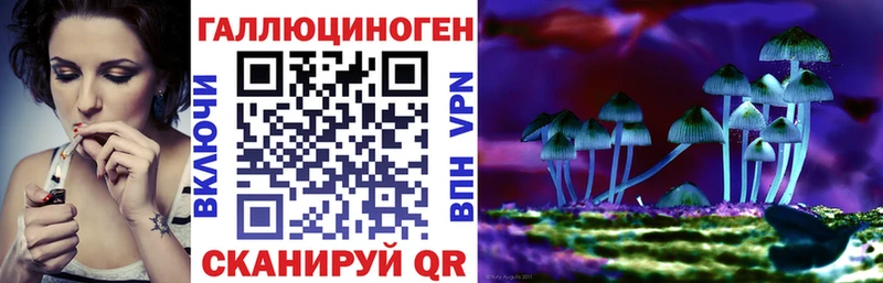 Галлюциногенные грибы прущие грибы  Томилино 